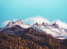 好看的高中篮球小说