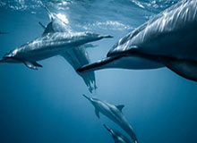 女主重生在大学小说的小说