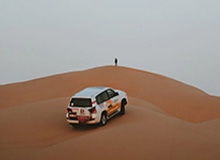 为了生子结婚的小说